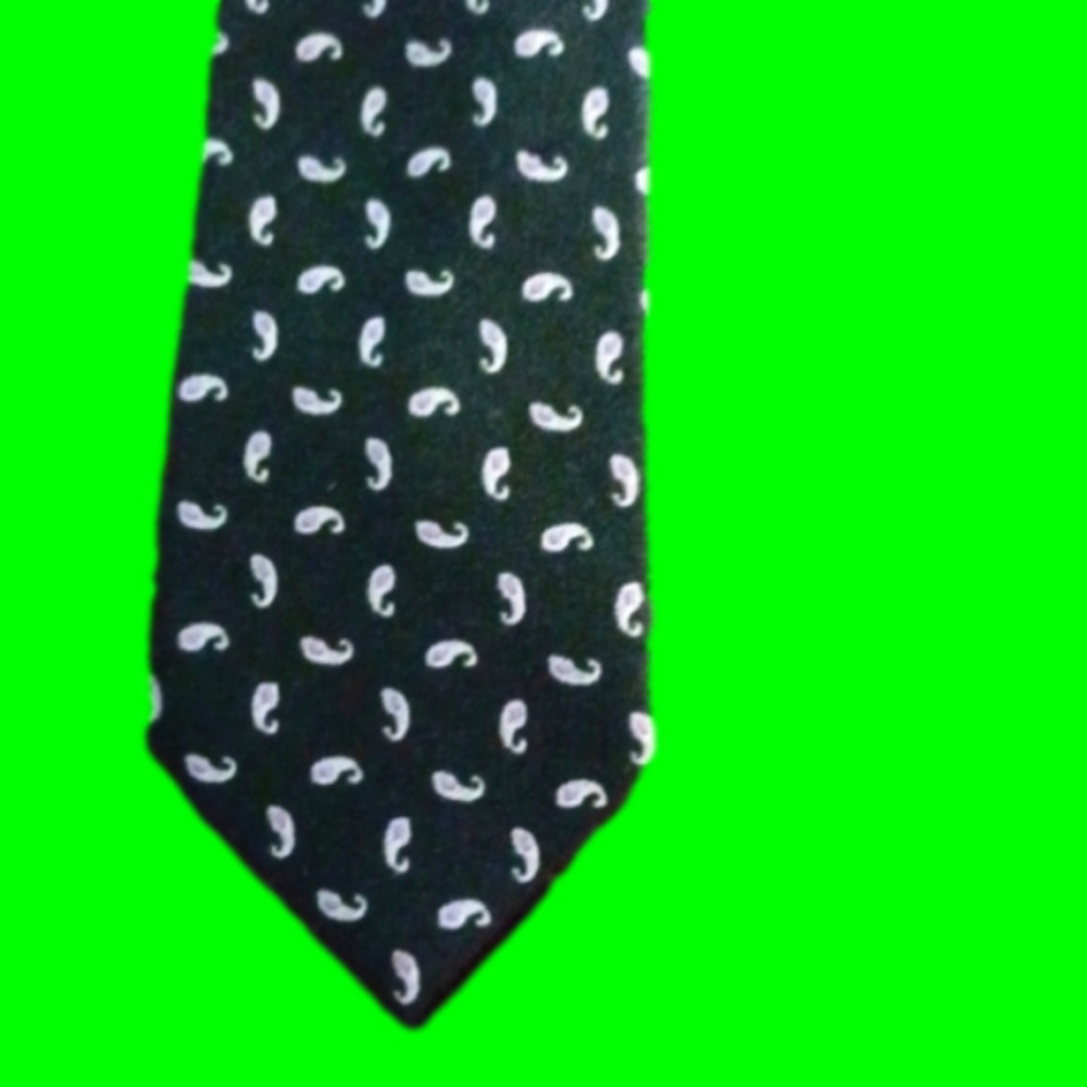 𝅺BRENT MORGAN Vintage Dark Green Wool Necktie with Silver Paisley Accents